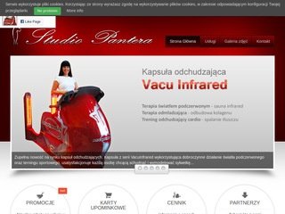 Podgląd studiopantera.pl