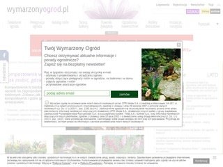 Podgląd wymarzonyogrod.pl