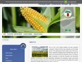 Podgląd hbp.pl
