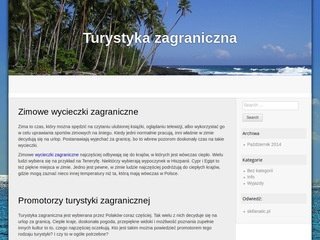 Podgląd e-vive.pl