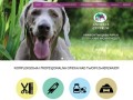 Podgląd animals-centrum.com