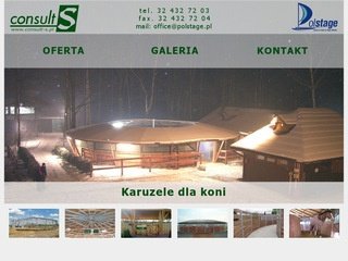 Podgląd consult-s.pl