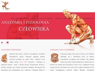 Podgląd cialo-czlowieka.pl