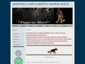 Podgląd pajeczesieci.pl