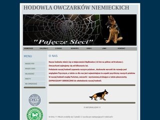 Podgląd pajeczesieci.pl