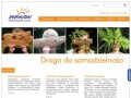 Podgląd fundacjarobinson.org.pl