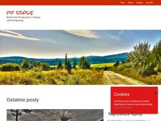 Podgląd poszosie.pl