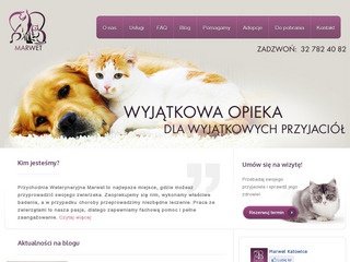 Podgląd marwetkatowice.pl