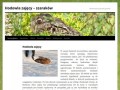Podgląd szaraki.com.pl
