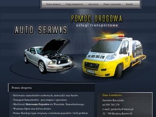 Podgląd serwis-raczynski.pl