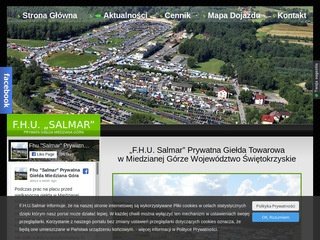 Podgląd salmar.pl