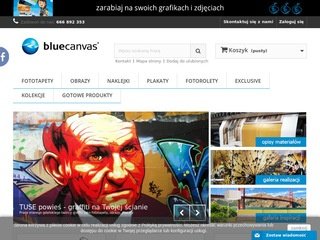Podgląd bluecanvas.pl