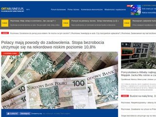 Podgląd ortabusiness.pl