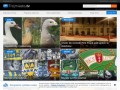 Podgląd trojmiasto.tv