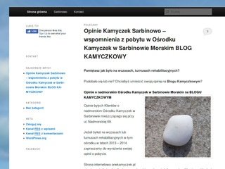 Miniaturka orwkamyczek.pl