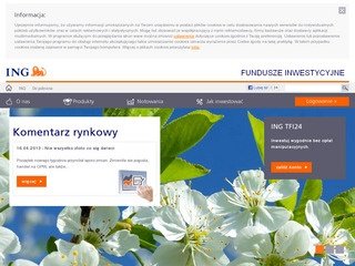 Podgląd ingtfi.pl