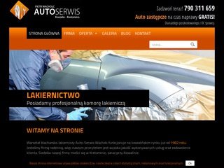 Podgląd autowacholc.pl