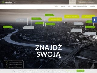 Podgląd masterminvest.pl