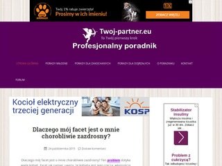 Podgląd twoj-partner.eu