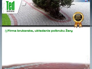 Podgląd tedbruk.pl