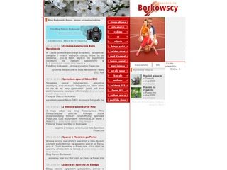 Podgląd borkowscy.pl