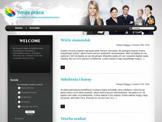 Podgląd damyprace.pl