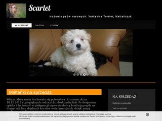 Podgląd hodowla-scarlet.pl