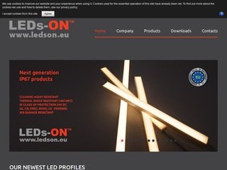 Miniaturka ledson.pl