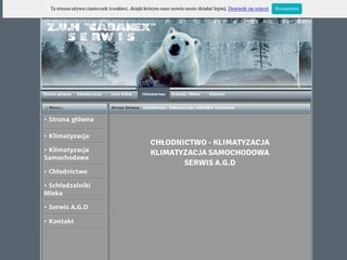 Podgląd cabanex.pl
