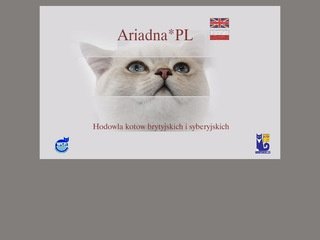 Podgląd ariadna.nbox.pl