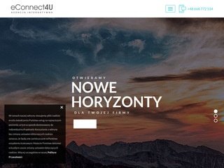 Podgląd econnect4u.pl
