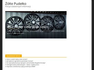 Podgląd zoltepudelko.pl