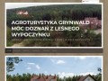 Podgląd grynwald.com