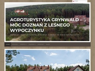 Podgląd grynwald.com