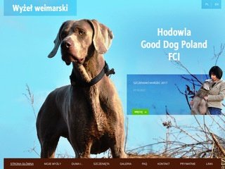 Podgląd gooddog.pl