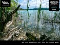 Podgląd splywybrodnica.com.pl