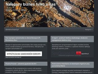 Podgląd wynajemdzwigu.pl