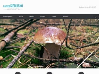 Podgląd rajskiesiedlisko.pl