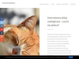 Podgląd prestomuzyka.pl