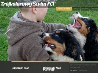Podgląd bernenskipiespasterski.com