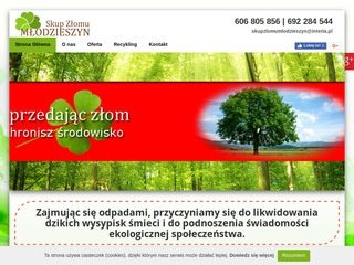 Miniaturka skupzlomumlodzieszyn.pl