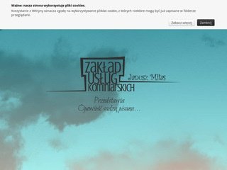 Podgląd kominiarze-warszawa.pl