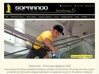 Podgląd lodzsprzatanie.com.pl