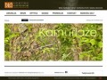 Podgląd dlamysliwych.pl