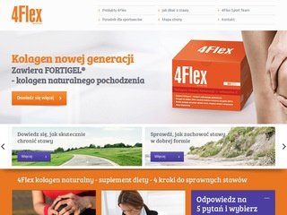 Podgląd 4flex.pl