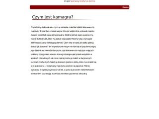Podgląd trueview24.pl