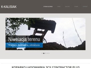 Podgląd robotyziemneolsztyn.pl