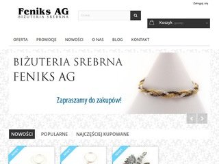 Podgląd feniksag.pl