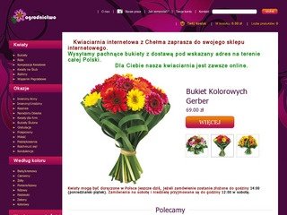 Podgląd kwiatychelm.pl