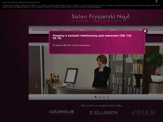 Podgląd salonfryzjerski-no1.pl